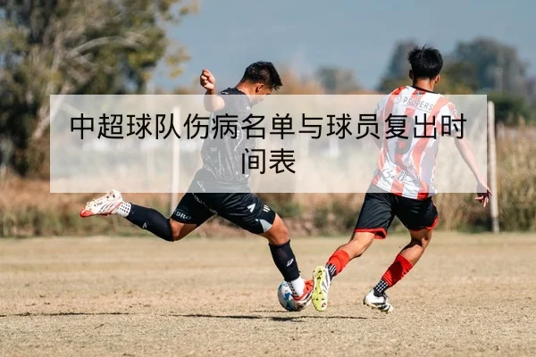 中超球队伤病名单与球员复出时间表